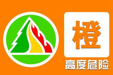 “机”高一筹！港区数智科技赋能安全生产